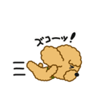のんびりトイプー 03（個別スタンプ：5）