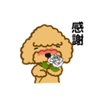 のんびりトイプー 03（個別スタンプ：7）