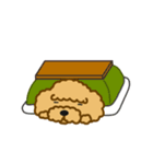 のんびりトイプー 03（個別スタンプ：13）