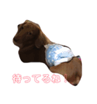 リキ日常（個別スタンプ：6）