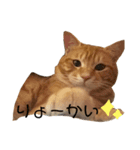 もふもふ ちくわくん（個別スタンプ：3）