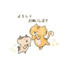 ぶちゃ猫ちゃちゃ丸君の日常（個別スタンプ：3）