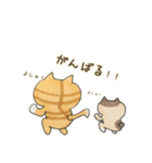 ぶちゃ猫ちゃちゃ丸君の日常（個別スタンプ：15）