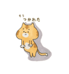 ぶちゃ猫ちゃちゃ丸君の日常（個別スタンプ：24）