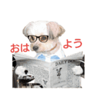 MOCOの気持ち（個別スタンプ：2）