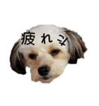 MOCOの気持ち（個別スタンプ：8）