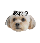MOCOの気持ち（個別スタンプ：9）