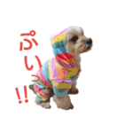 MOCOの気持ち（個別スタンプ：16）