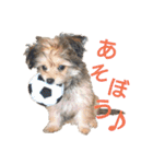 MOCOの気持ち（個別スタンプ：18）
