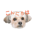MOCOの気持ち（個別スタンプ：23）