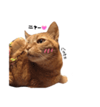 ポッキーฅˆ•ﻌ•ˆฅ（個別スタンプ：3）
