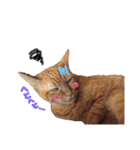 ポッキーฅˆ•ﻌ•ˆฅ（個別スタンプ：5）