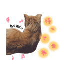 ポッキーฅˆ•ﻌ•ˆฅ（個別スタンプ：6）