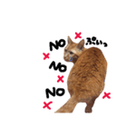 ポッキーฅˆ•ﻌ•ˆฅ（個別スタンプ：9）
