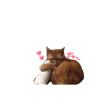 ポッキーฅˆ•ﻌ•ˆฅ（個別スタンプ：15）