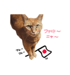 ポッキーฅˆ•ﻌ•ˆฅ（個別スタンプ：19）