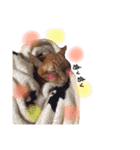 ポッキーฅˆ•ﻌ•ˆฅ（個別スタンプ：24）
