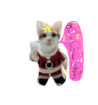 愛猫らぶりー（個別スタンプ：5）