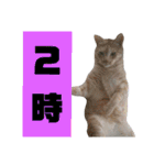 雪慶ニャーズ 時間Ver.（個別スタンプ：2）