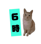 雪慶ニャーズ 時間Ver.（個別スタンプ：6）