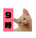 雪慶ニャーズ 時間Ver.（個別スタンプ：9）