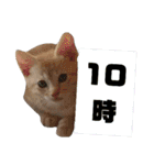 雪慶ニャーズ 時間Ver.（個別スタンプ：10）