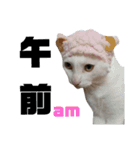 雪慶ニャーズ 時間Ver.（個別スタンプ：13）