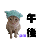 雪慶ニャーズ 時間Ver.（個別スタンプ：14）