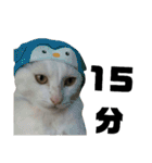雪慶ニャーズ 時間Ver.（個別スタンプ：17）