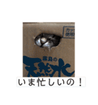 ねこパラダイス（個別スタンプ：6）
