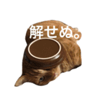 ねこパラダイス（個別スタンプ：23）