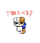 スコティッシュのよく使う言葉（個別スタンプ：1）