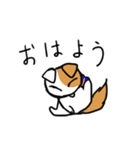 スコティッシュのよく使う言葉（個別スタンプ：10）