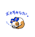 スコティッシュのよく使う言葉（個別スタンプ：12）