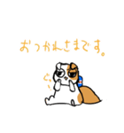 スコティッシュのよく使う言葉（個別スタンプ：15）
