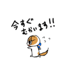 スコティッシュのよく使う言葉（個別スタンプ：28）
