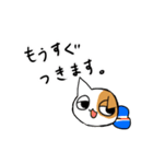 スコティッシュのよく使う言葉（個別スタンプ：34）