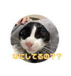 こてつくんだよ（個別スタンプ：8）