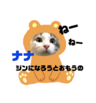 うちの3にゃんず その1（個別スタンプ：12）