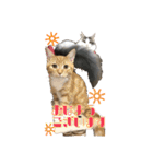 うちの3にゃんず その1（個別スタンプ：14）