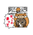 うちの3にゃんず その1（個別スタンプ：20）