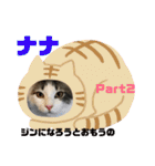 うちの3にゃんず その1（個別スタンプ：30）