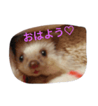 なもあめ（個別スタンプ：2）
