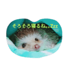 なもあめ（個別スタンプ：3）