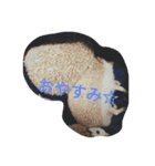 なもあめ（個別スタンプ：4）
