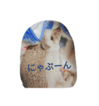 なもあめ（個別スタンプ：9）