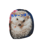なもあめ（個別スタンプ：10）