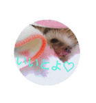 なもあめ（個別スタンプ：11）