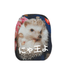 なもあめ（個別スタンプ：13）