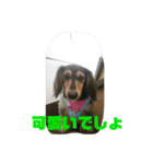 ダックスピープル（個別スタンプ：3）
